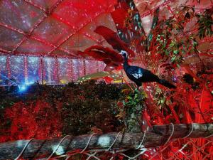 Bis zum 5. Februar läuft das Magische Tropenleuchten immer donnerstags bis sonntags © Zoo Leipzig