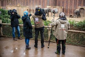 Elefant Tiger Co 20 Jahre © MDR Enrico Meyer