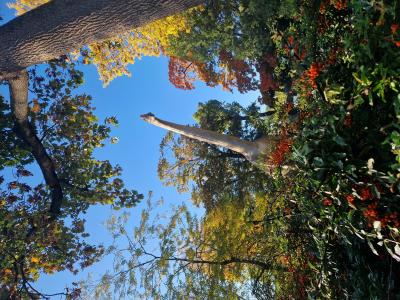 Entdeckertage Dinos am Wochenende erleben © Zoo Leipzig