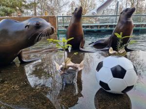 Gemeinsam zur Waldmeisterschaft - am 13. Aprilgemeinsam Bäume pflanzen © Zoo Leipzig