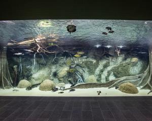 Panoramabecken im modernisierten Aquarium  Zoo Leipzig