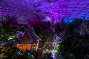 Szenische Lichtspiele beim Magischen Tropenleuchten  Zoo Leipzig